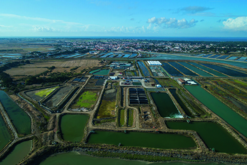 Marinove recrute pour soutenir sa croissance en Vendée